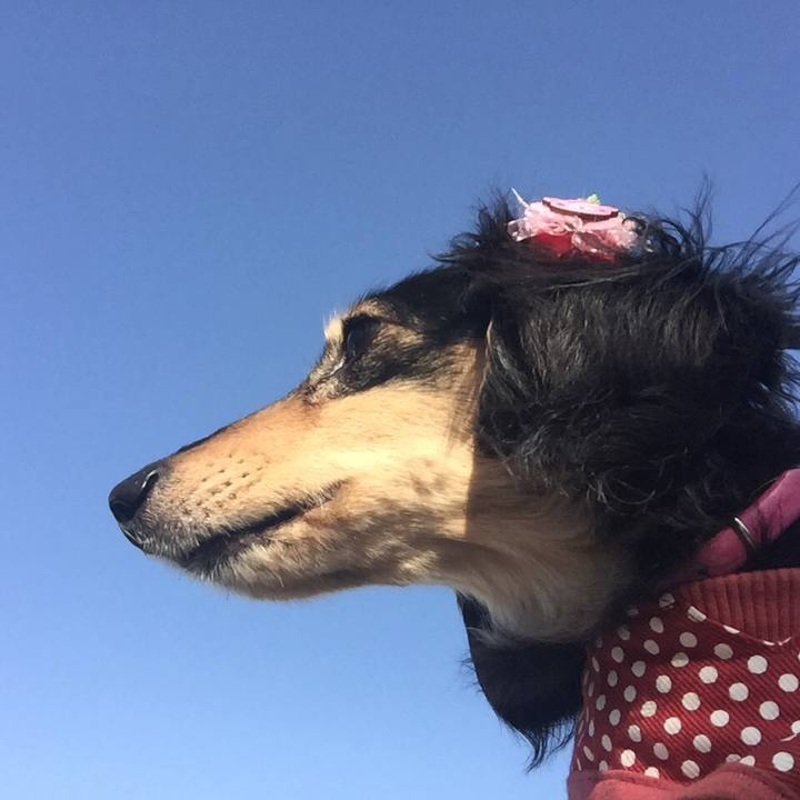 F84b2533 512f 49b7 8459 26aa567574fd 1520725133790