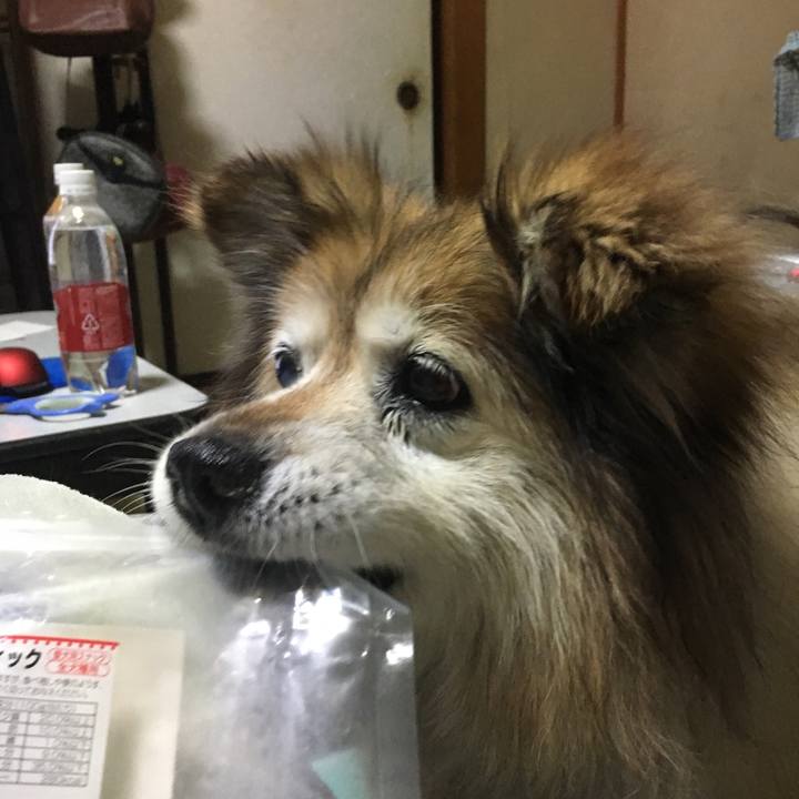 F84b8ae2 6f9e 4efa 8f8e ecf7f0e4b738 1549876342695