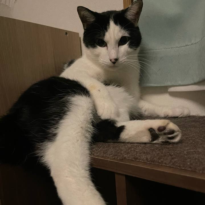 F84b8c07 ece9 438a bb43 ebc90508ae37 1678537502172