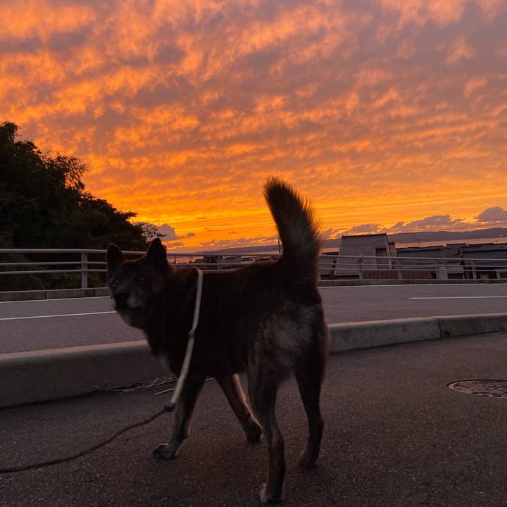 F84b9f40 964b 4ac6 b0d9 0321cc092bd0 1602147370405