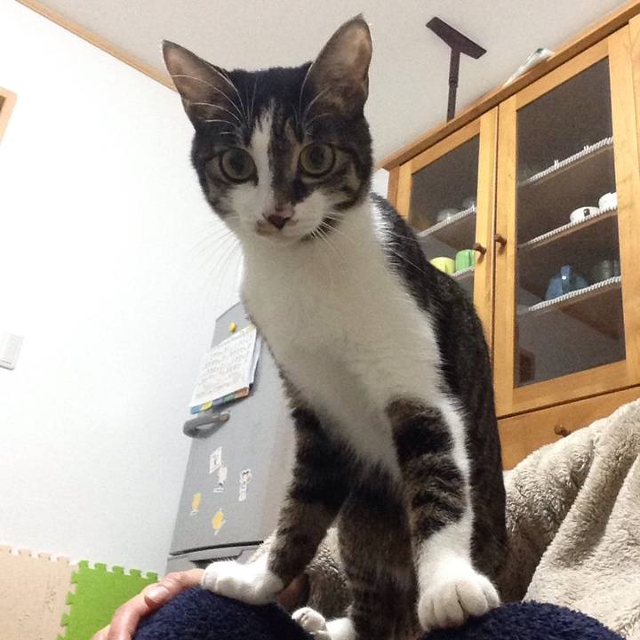 F84bb442 f871 4769 8f6b 9a28a1b8381a 1512146152358