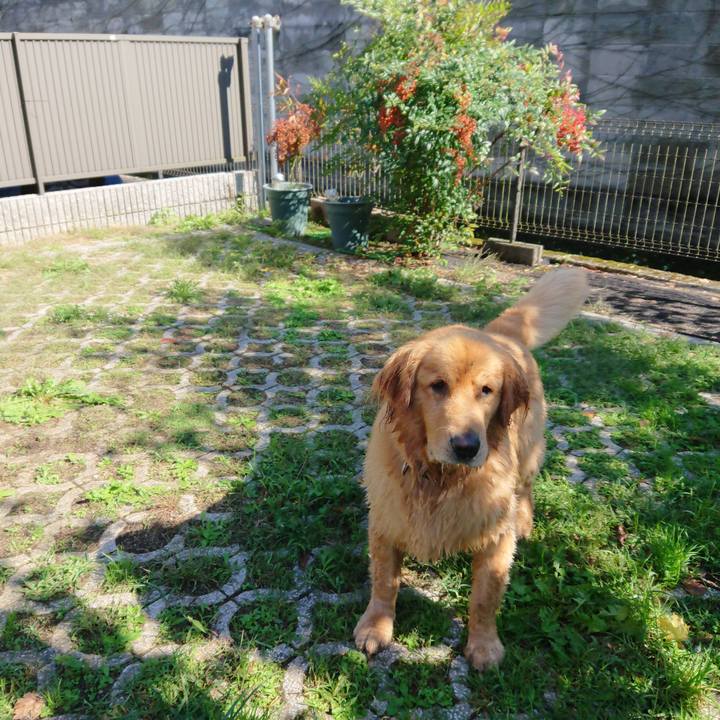 F84bc2ad 1887 4998 a184 5915b94b0eaf 1572257235828