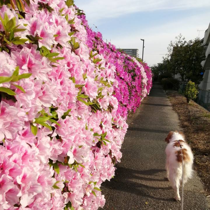 F84c204b 7689 4908 a593 eab263bb4126 1619047911931