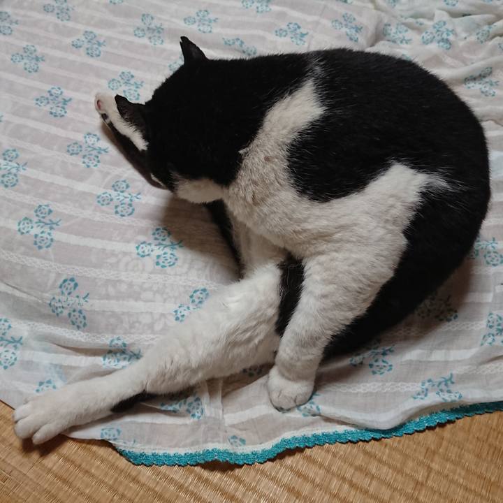 F84c213f 2ead 45c2 8dfc ea4ca2c6395b 1622804865009