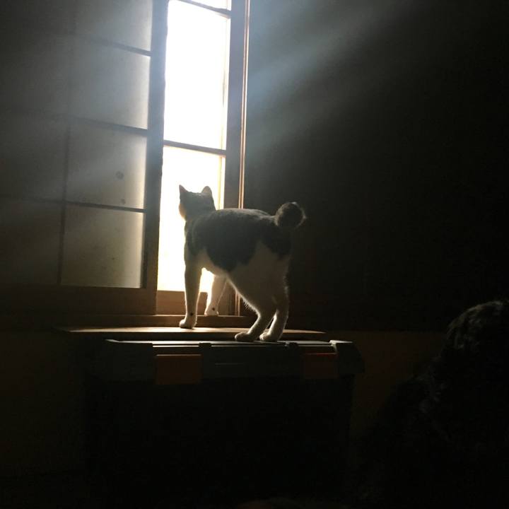 F84c3b6e 13c9 416a a096 3e4881006f15 1525267914540