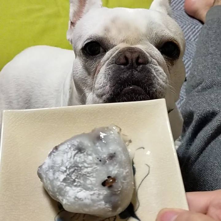 F84c3e9f d5aa 43ad 9ae9 2ddf658855f7 1665961521045