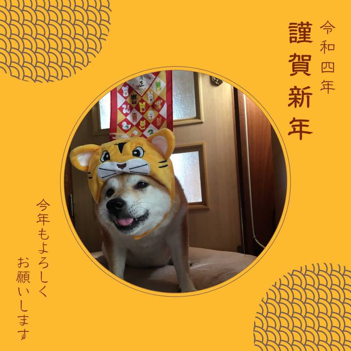 F84c6e5d e21e 483e be16 49f5c86d0230 1640971337367