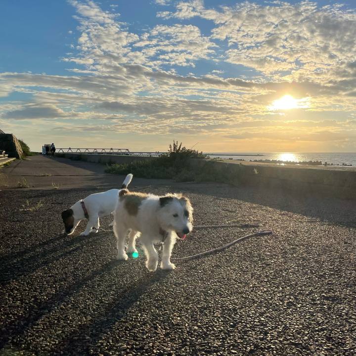 F84c7055 01de 46ff aea5 c799e4567e8a 1631178761980