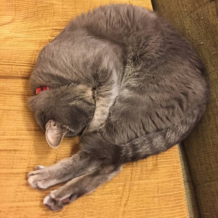 F84c8f64 8aaf 4f89 9aed 0866b4e3735a 1509058266055