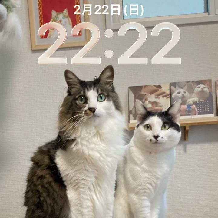 F84cadd3 b875 4073 b4e5 6e317899cc6e 1771766580527