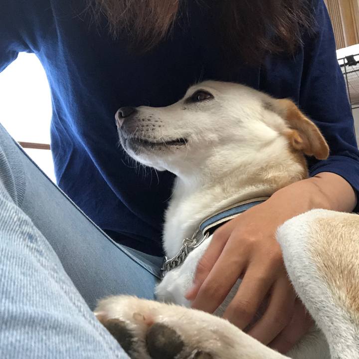 F84cd7fe 7d4d 4c6a acf8 1eb0d75bc004 1629097197149