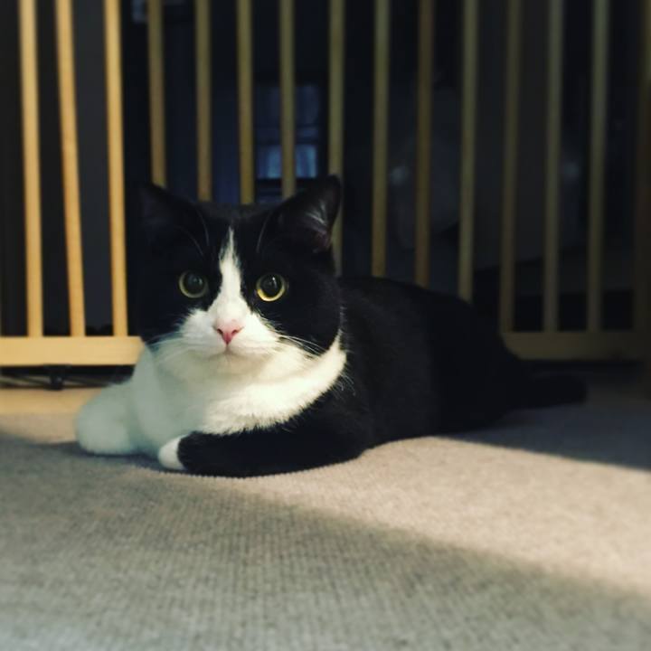 F84cd860 23ca 419a a7ed d18634802b95 1571568609942