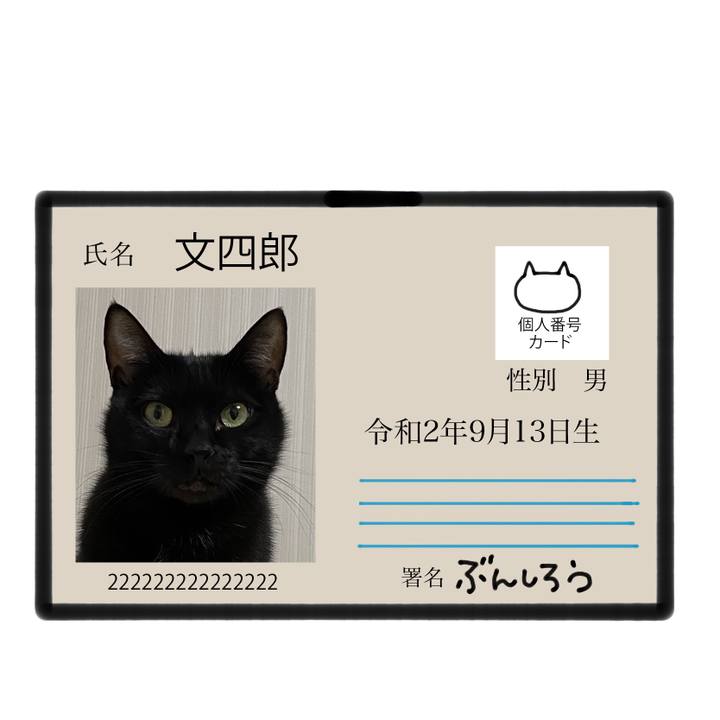 F84cdfd8 ea5a 461d a8d5 3bceb11caea9 1671106697336