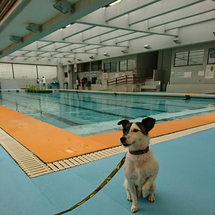 F84cf3ac a131 4554 bc8d d6724105fb9d 1531291441203