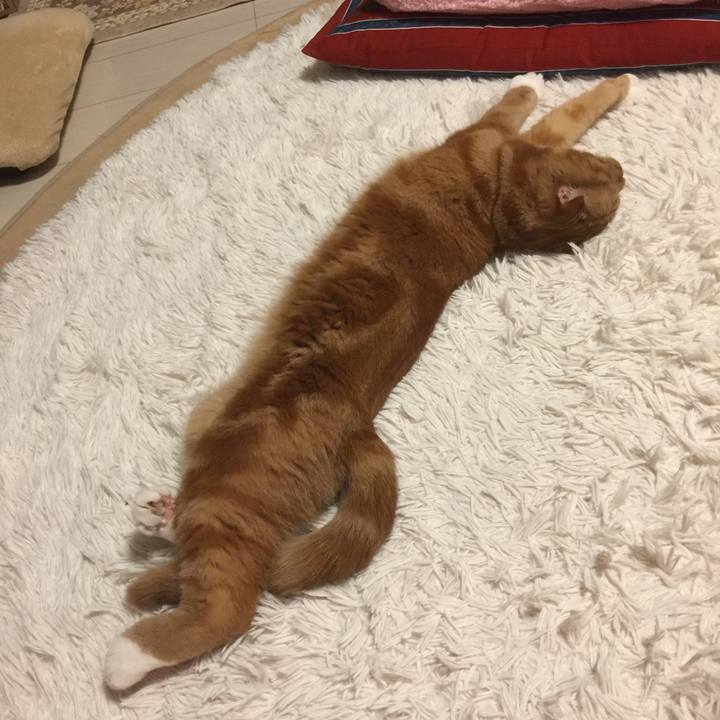 F84cf840 1479 4916 b581 4dae44f6ea76 1558483586053