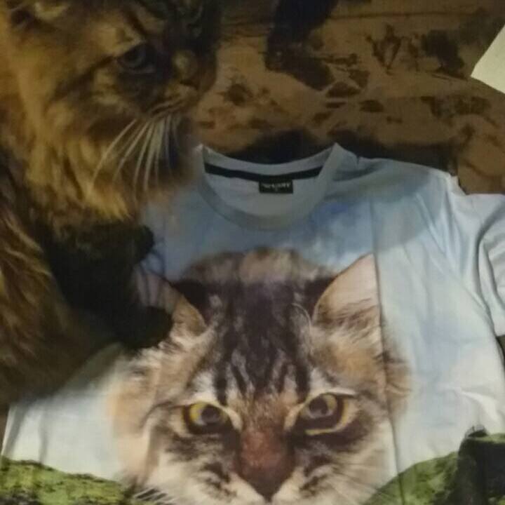 F84d18bf 13e4 4a05 87de bf22a22f6dec 1534767129061