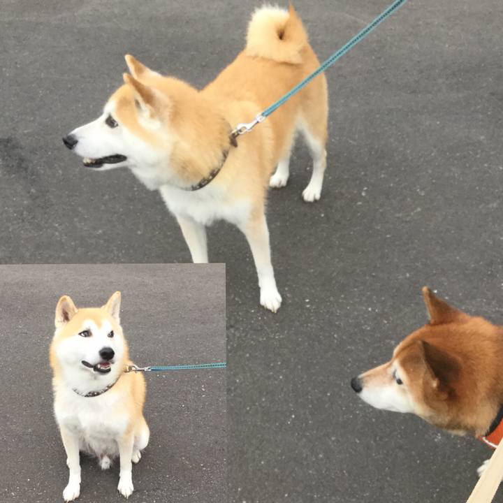 F84d1d9d d238 499a 99b5 1deb47fb26dc 1631349885446