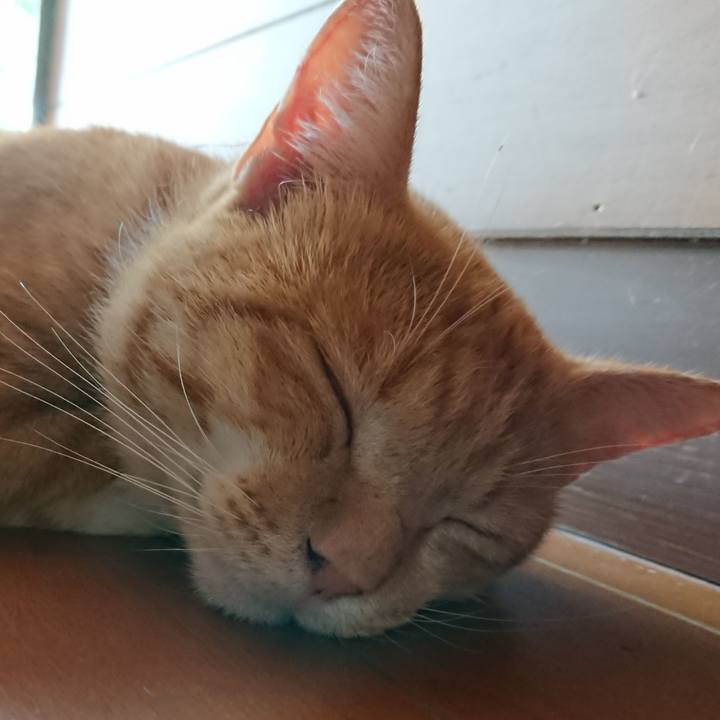 F84d26a2 849e 4b8a 8b28 0113658df6f6 1565411979168