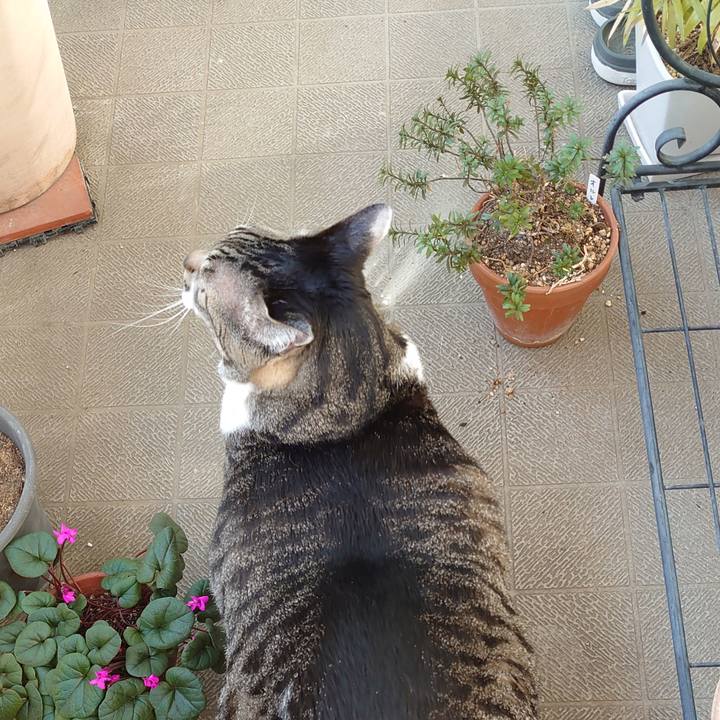 F84d305f 86fe 4f67 8a24 1af5ac1d1d6b 1614044359030