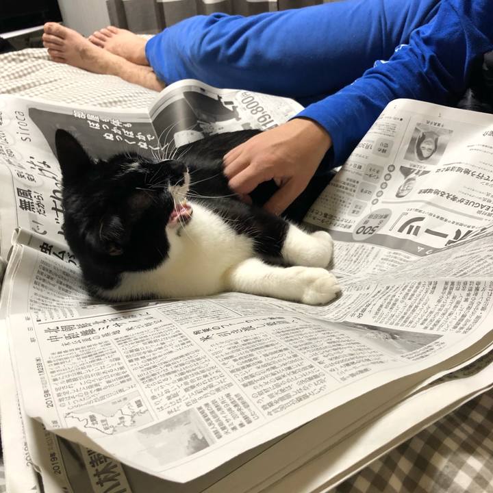 F84d4afe 1c1c 4fd9 a1d3 1203cee5c9dd 1548968019672