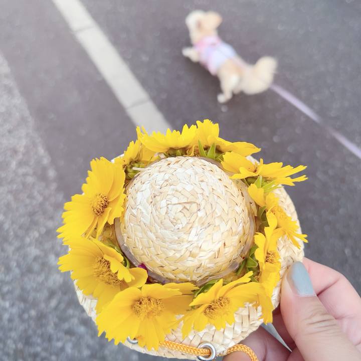 F84d6e2b a47b 4bc4 b57d dea2e97300f3 1686996873339