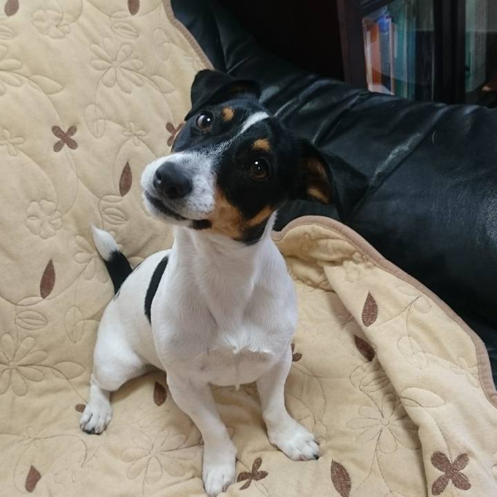 F84d6f62 33cc 40dd a573 d2295f8a29fe 1549813408708