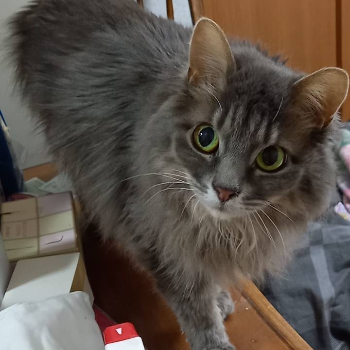 F84d9c6e 7167 40b2 96fc 3ea04572ee1e 1642632864646