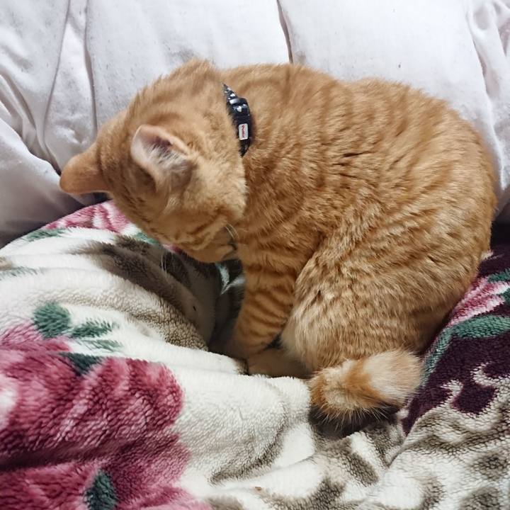 F84db02d fd96 44be 8882 56c9cad16b99 1639570709476