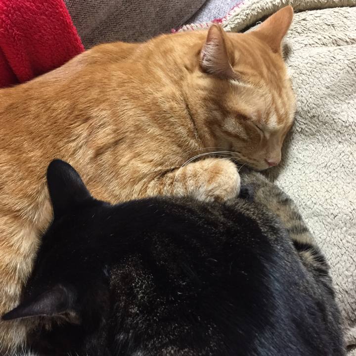 F84dd9f3 8518 4200 a8e4 1276f06bef8e 1511704813970