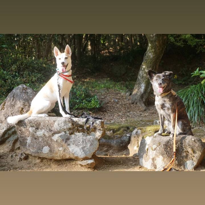 F84ddea0 36cf 47d4 8b35 c500819bf2d8 1605679820241