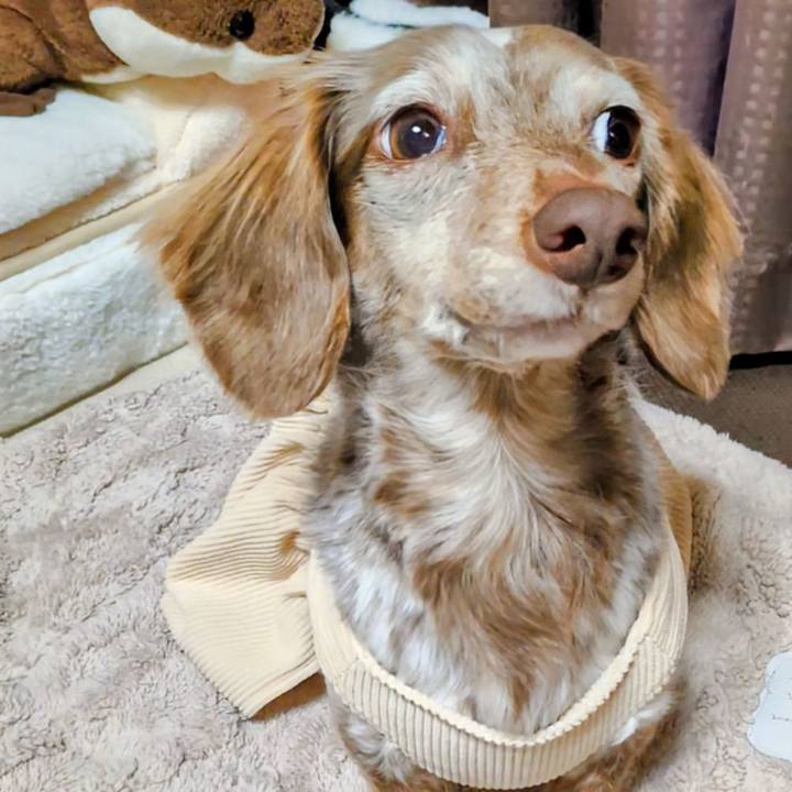 F84e01b3 1a42 4e28 b4d1 f59447a99d52 1766723865763