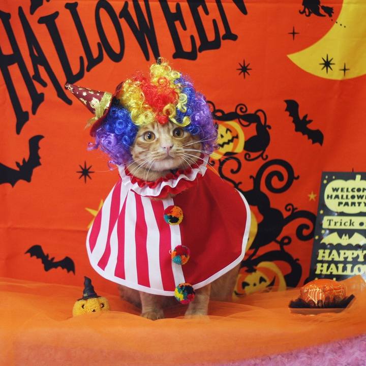 F84e049c c8e0 4a38 9ac7 9f5f6a0a0974 1696511564250