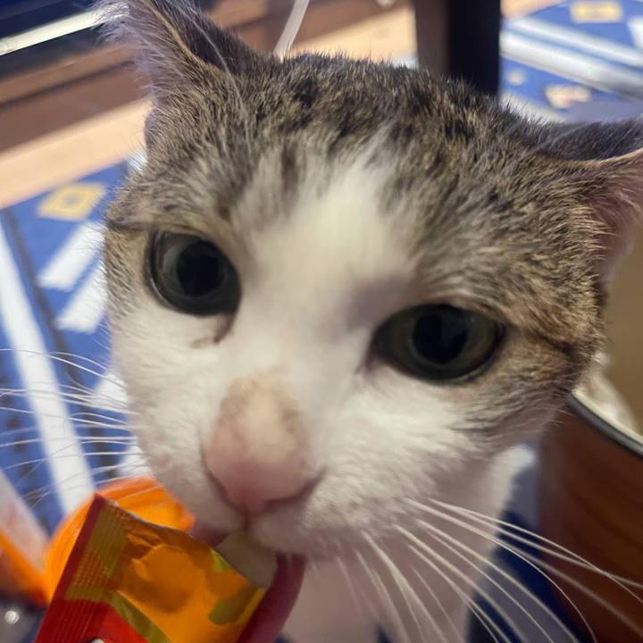 F84e1c42 cb2d 4dba 9cda e692d3875c81 1631004041848