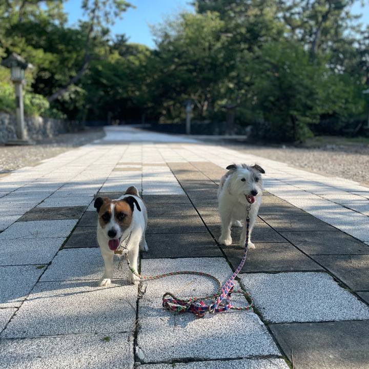 F84e1d9b dfc1 4c9c 9d77 fd97b74d9135 1757976813938