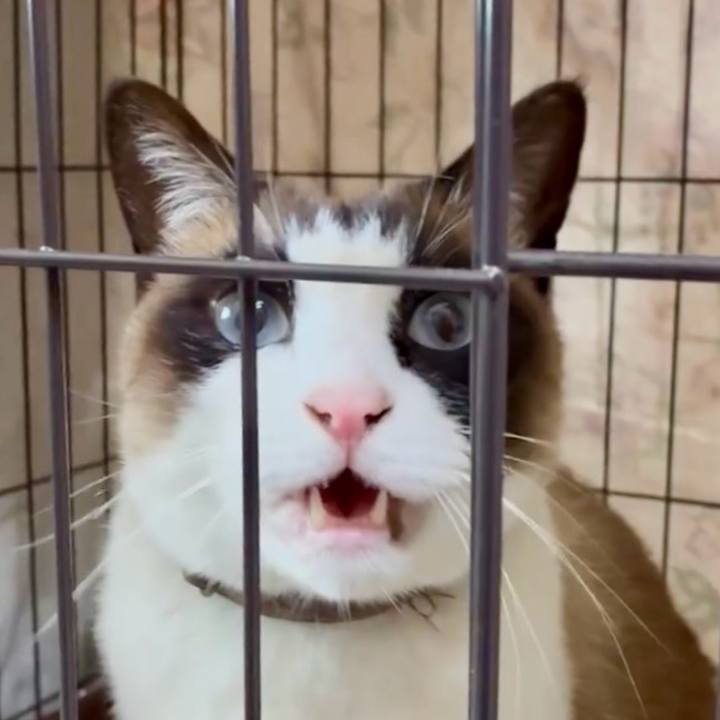 F84e3f0d 2230 4853 8c6c 08c3af4c450f 1775564779321