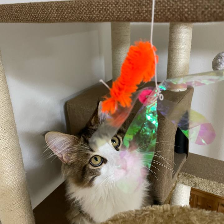 F84e6467 73cf 47af 8faa cba194c3953f 1636974469008