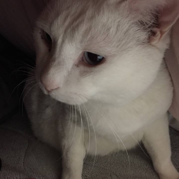 F84e6853 93b6 46ac 9a73 7138187d7115 1516977438503