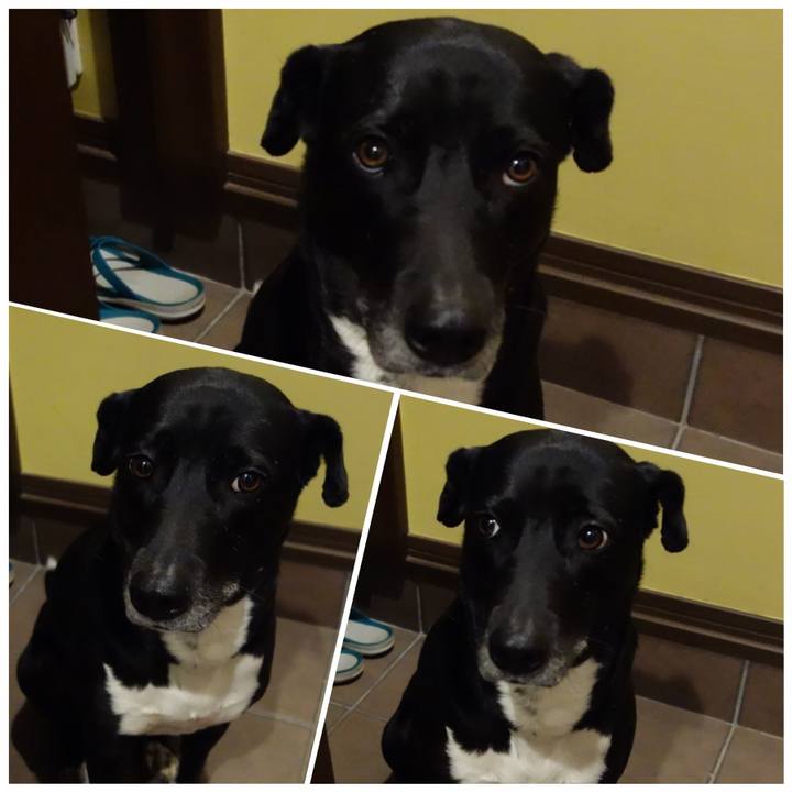 F84e951f 881f 4b32 9759 62beb0451b6e 1647687184071