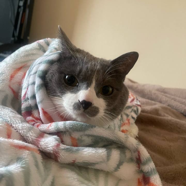 F84ecd44 be70 4e48 a585 8c6dc20129c2 1740349834478