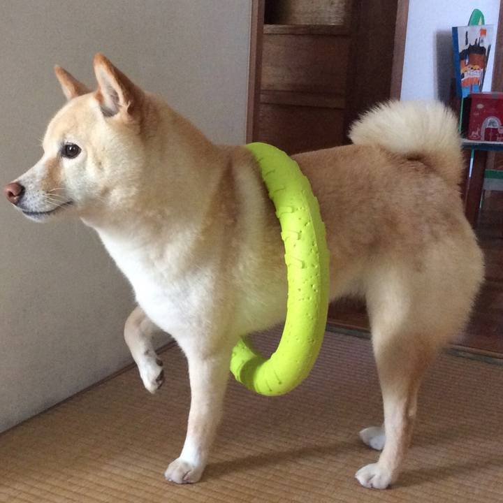 F84ed5e3 5496 497b aaea 73d89827c976 1651536320472