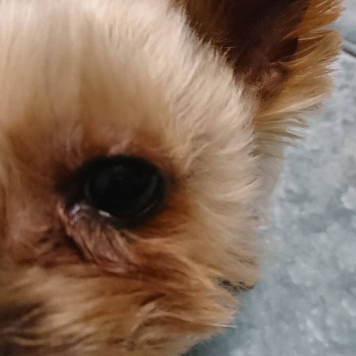 F84ee494 c10d 4263 91e0 e8ac6dcba807 1520866450652