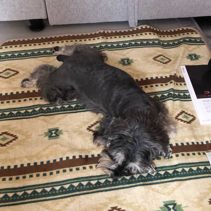 F84f19b8 a130 4db7 995a b9ebae83e9a1 1620374864665