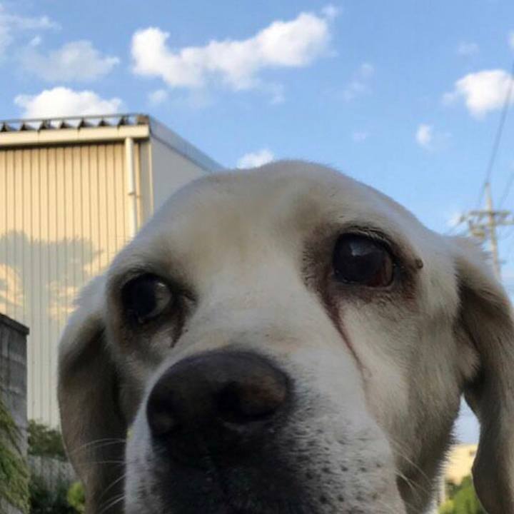 F84f760b bca3 4d73 bd67 aab3997b1845 1547296833010