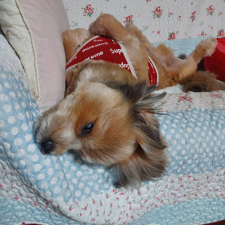 F84f771d 7ac4 49ba 8314 3c5e781ff4f0 1617028401432