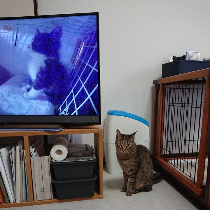 F84f7754 51dd 47b7 a511 8f466eb29751 1566633612569