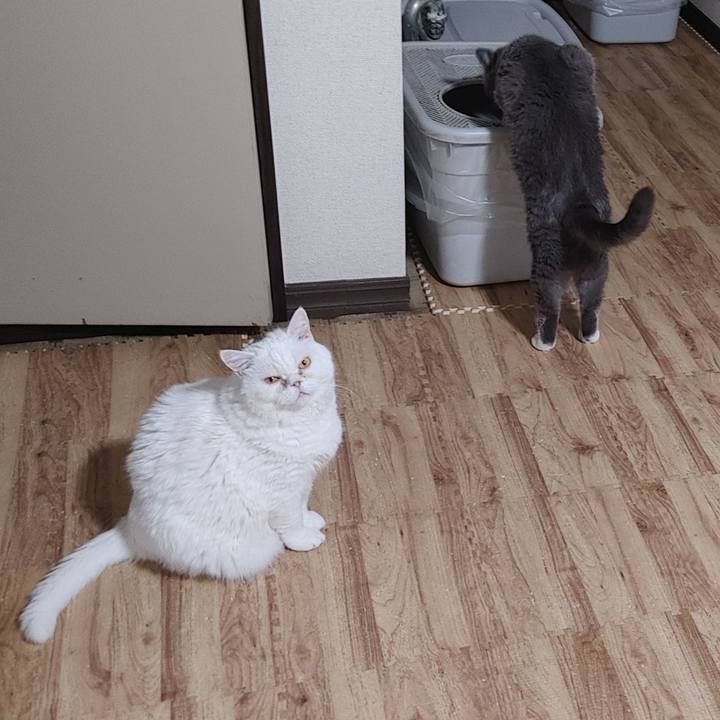 F84f8e12 047f 41e3 8c3e 83c2e710f107 1739277988978