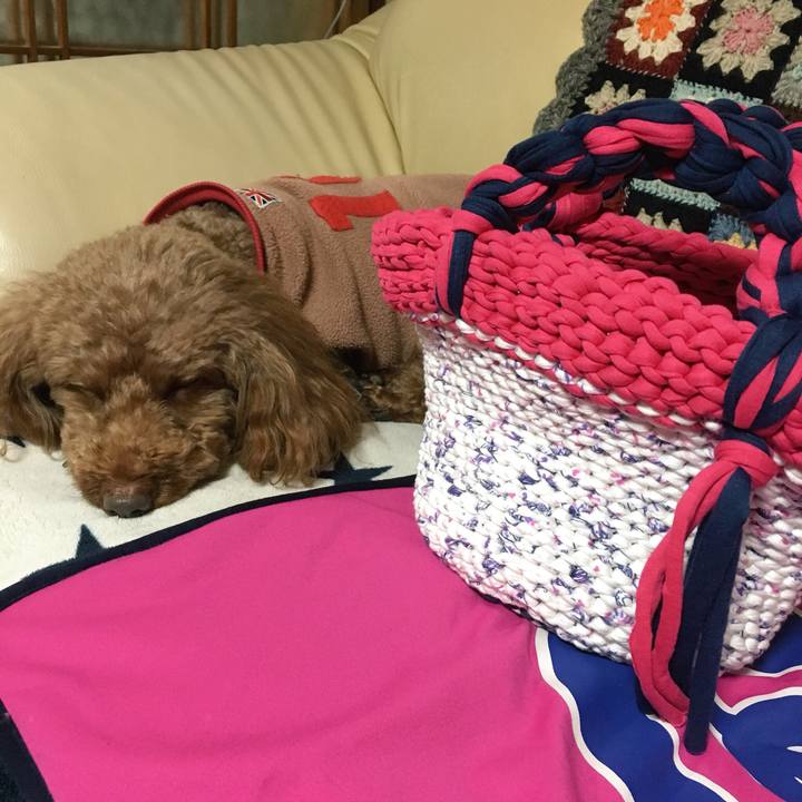 F84fac2e f2f6 4c83 b1ea 9eae5754c31b 1520417469622