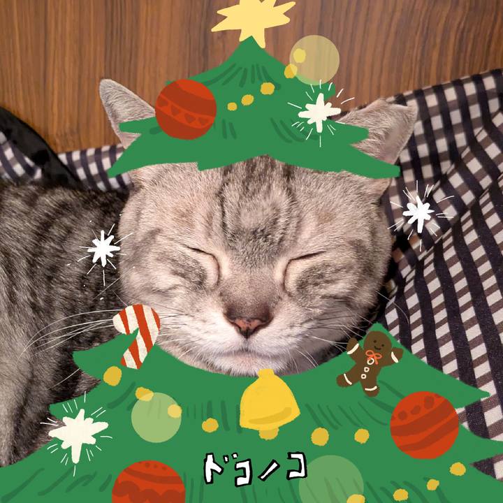 F84fc459 be08 4170 8297 e2c77e13eeb2 1761153180110