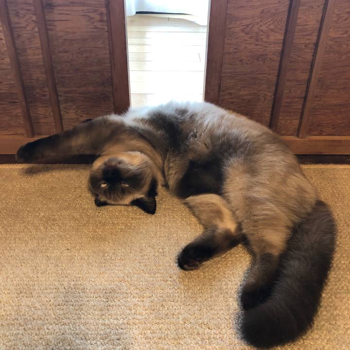 F84fc4f8 83bc 4371 9f81 b9546bffced3 1597041066143