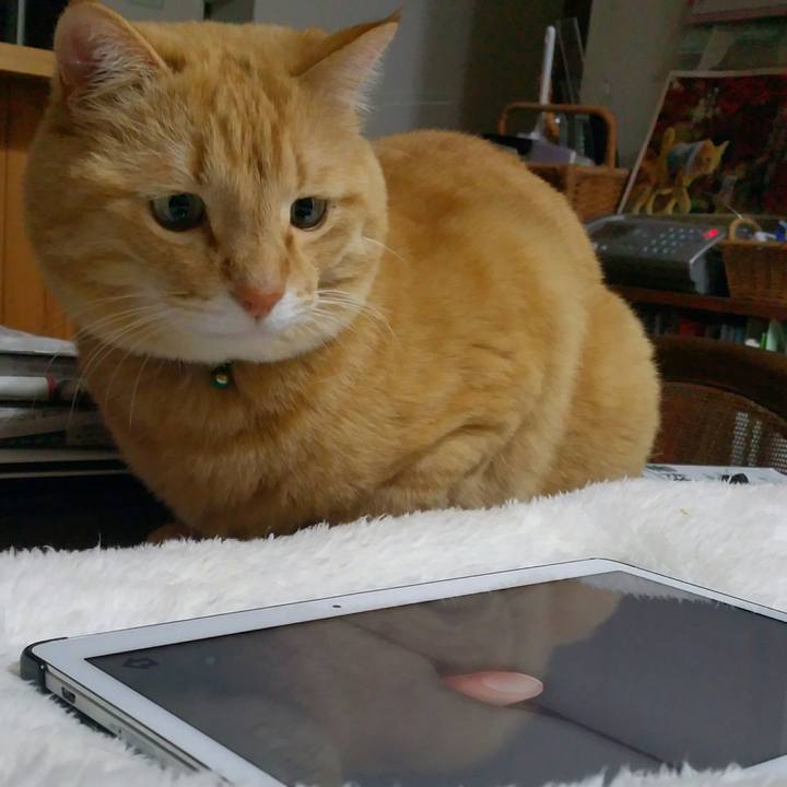 F84fd1c0 e523 4755 8f41 f214fb5666d6 1553210470533